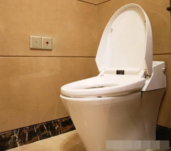 Sự khác biệt giữa nút lớn và nhỏ trên bồn cầu là gì? Hóa ra nhiều người bao năm đã ấn nhầm-8