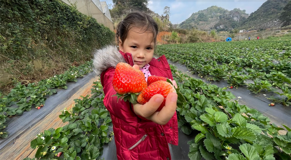 Con nhà người ta 4 tuổi làu làu 5 thứ tiếng, bố bé khẳng định không ép con nhưng luôn tạo cảm hứng, bố mẹ không giỏi ngoại ngữ vẫn có thể dạy con bằng 3 cách này-6