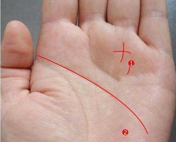 3 đường chỉ tay phú quý, phụ nữ sở hữu 1/3 là đủ nắm tiền tỷ trong tay-2