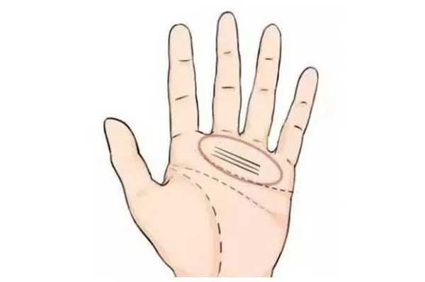 3 đường chỉ tay phú quý, phụ nữ sở hữu 1/3 là đủ nắm tiền tỷ trong tay-3