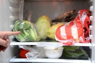 Đặt đá viên vào tủ lạnh có thể tiết kiệm được rất nhiều tiền điện: Cái số 3 đơn giản nhưng ít người biết