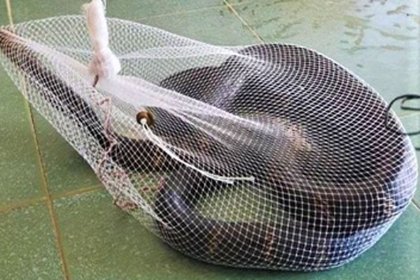 Vụ 2 bé gái nghi bị cha dượng bạo hành ở Hà Nội: Ông ngoại rơi nước mắt khi nhắc tới con gái, mong 2 cháu được ông bà nội chăm sóc-4