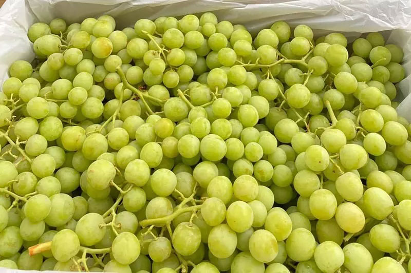 Nghịch lý đặc sản Việt: Hàng ngoại đổ bộ, đồ nội tràn chợ giá rẻ bèo-1