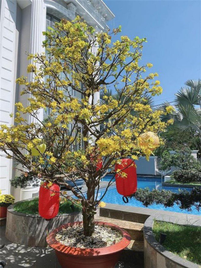 Mang cả nước biển vào nhà, Bảo Thy chứng minh đẳng cấp được chồng chiều-8