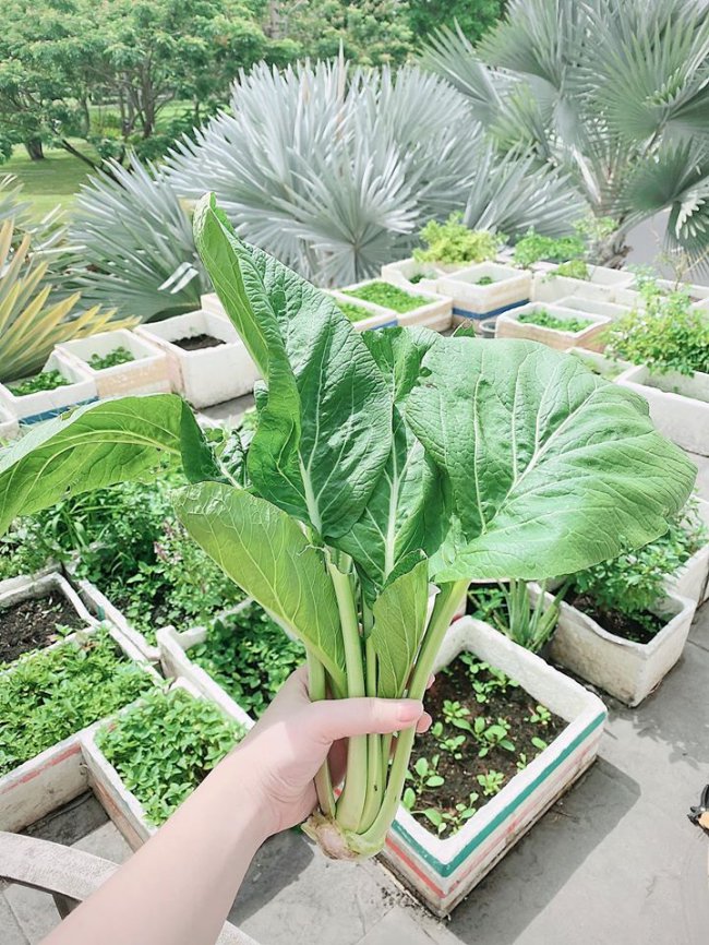 Mang cả nước biển vào nhà, Bảo Thy chứng minh đẳng cấp được chồng chiều-18