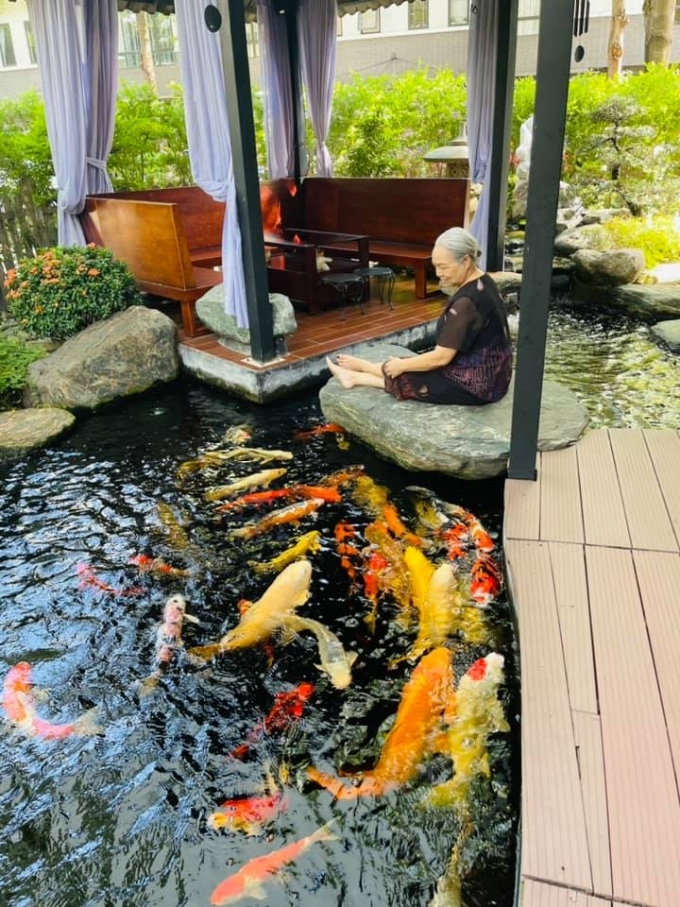 Đâu phải chỉ có mỗi doanh nhân Thắng Ngô sở hữu đàn cá Koi tiền tỷ, nhiều sao Việt gây choáng váng vì đầu tư lớn cho đàn cá Koi trong biệt thự-2
