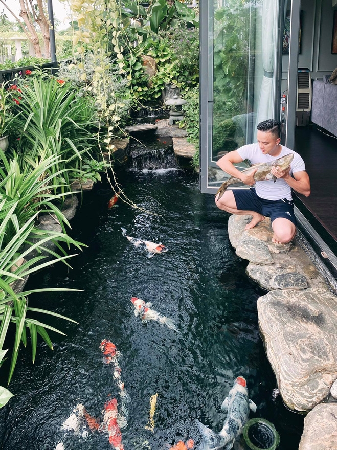 Đâu phải chỉ có mỗi doanh nhân Thắng Ngô sở hữu đàn cá Koi tiền tỷ, nhiều sao Việt gây choáng váng vì đầu tư lớn cho đàn cá Koi trong biệt thự-7