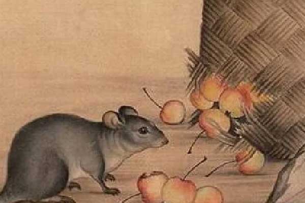3 tuổi xuất thân bần hàn nhưng ngày sau sớm giàu sang phú quý-4