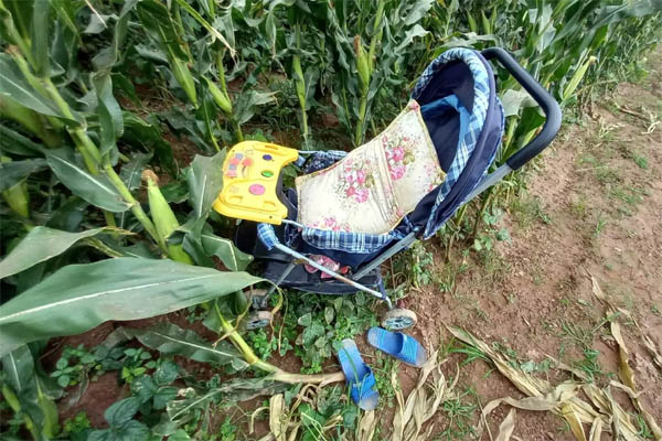 Bầu trời Hà Nội bất ngờ tối đen như mực, mưa giông kéo đến kèm sấm chớp cực mạnh khiến nhiều người sợ hãi-9