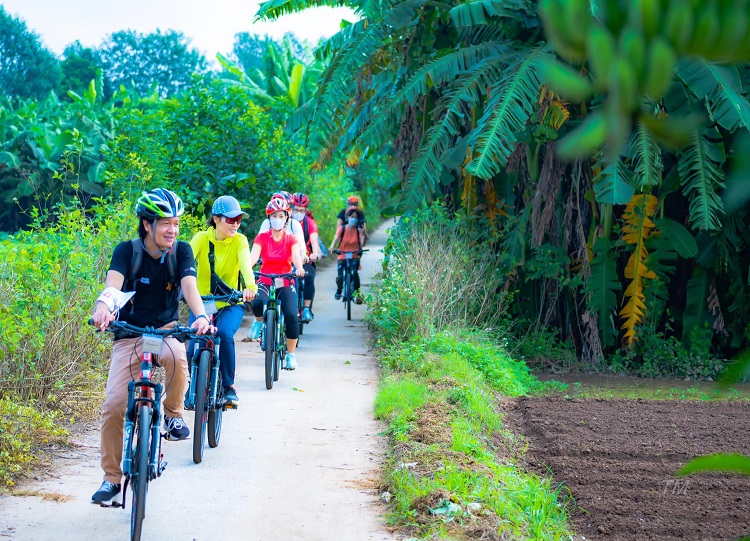 Hà Nội: Khách chi tiền triệu đặt tour đạp xe để ngắm… vườn chuối, ruộng rau-1