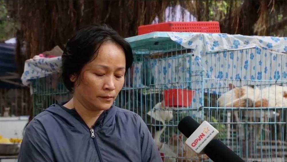 Đàn chó mèo hơn 500 con cứu từ lò sát sinh ở TP.HCM: Ngày ăn 65kg gạo, 20kg thịt heo, tháng tiêu tốn khoảng 60 triệu đồng-4