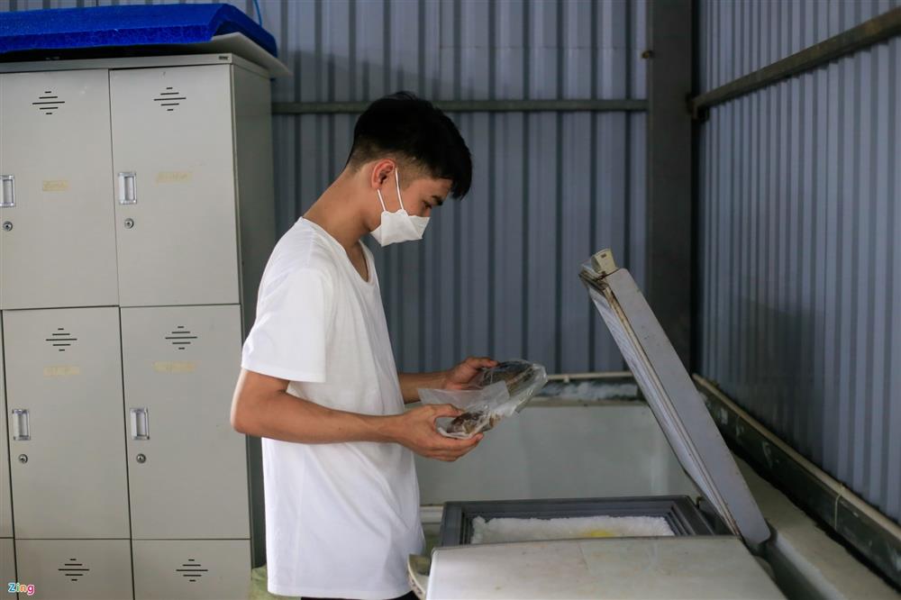 Nuôi cua biển trong nhà rộng 300 m2 ở Hà Nội-11