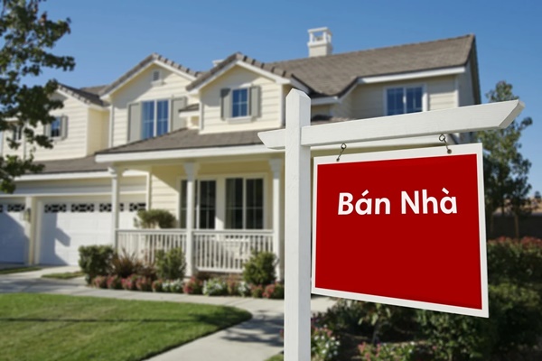 Ngây ngất với khu vườn sân thượng có đến 50 loại hoa hồng, rau xanh, trái cây đều đủ-19