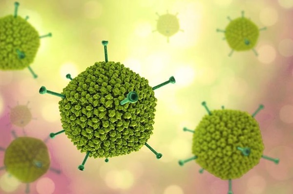 Adenovirus - kẻ tình nghi đứng sau bệnh viêm gan cấp tính ở trẻ em đang khiến thế giới chao đảo-3