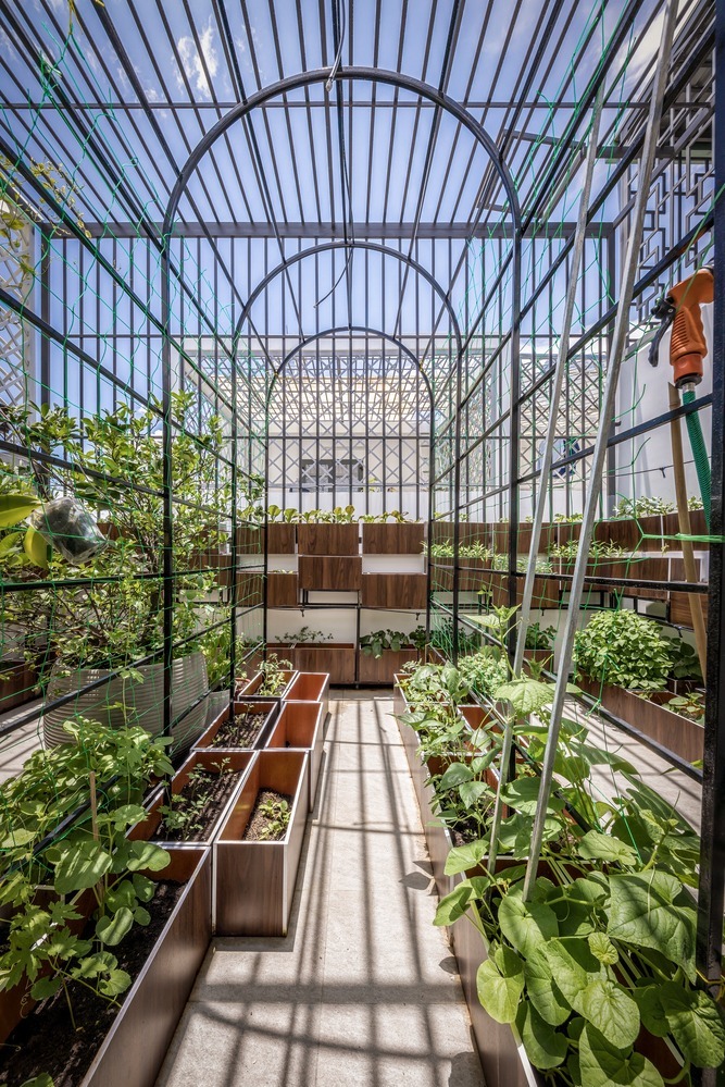 Nhà ống 300 m2 cho tam đại đồng đường-11