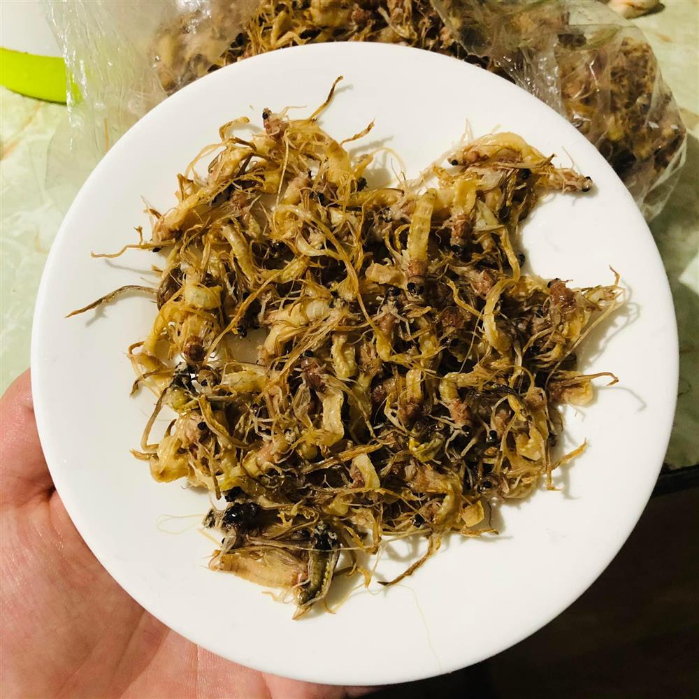 Loài côn trùng sống vài giờ, mỗi năm chỉ có một lần thành đặc sản bạc triệu ở Hà Nội-4