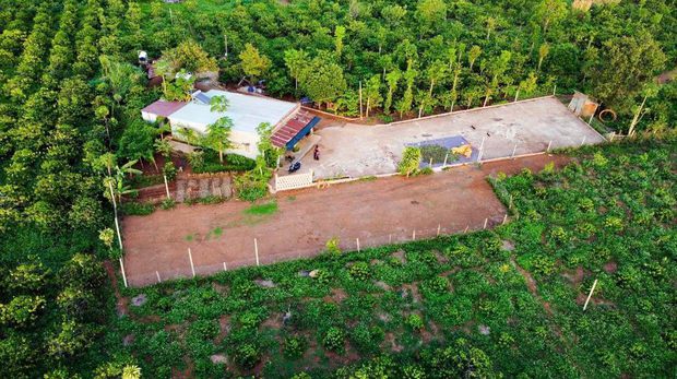 Bỏ giày cao gót về rừng mang ủng làm nông dân, cô gái đáp trả mạnh mẽ câu hỏi kém duyên-10