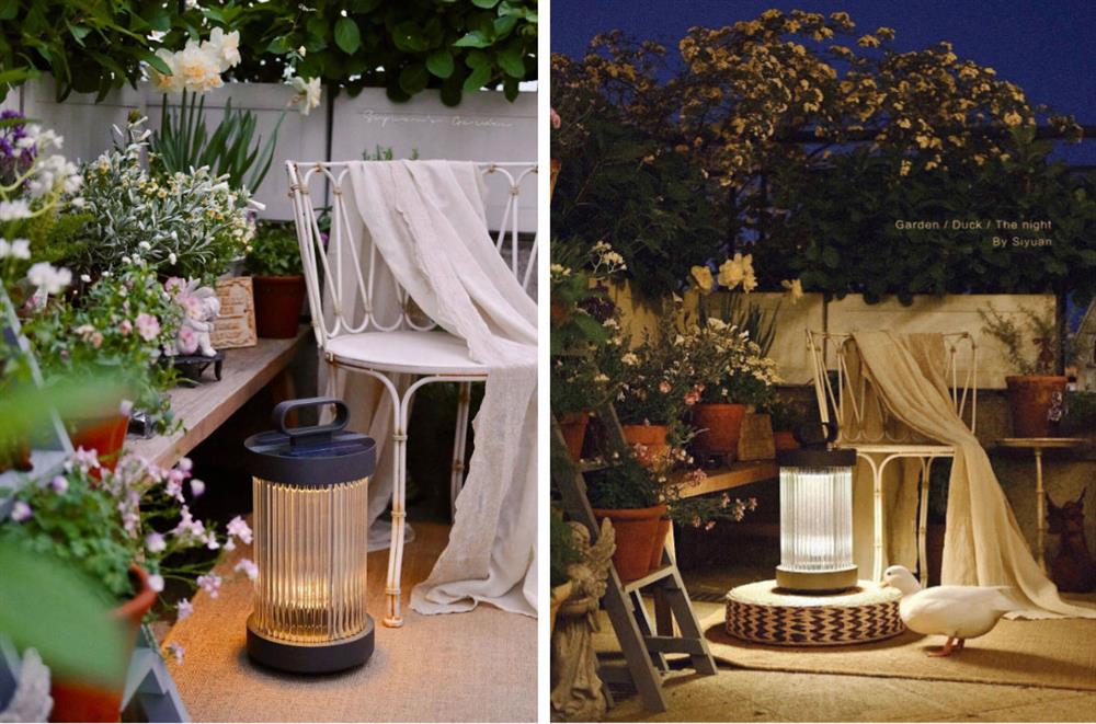 Ngây ngất với khu vườn sân thượng có đến 50 loại hoa hồng, rau xanh, trái cây đều đủ-18