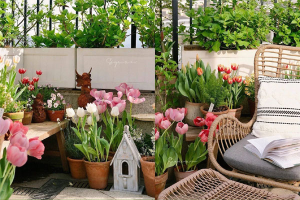 Cụ ông 87 tuổi chịu chơi mang cả cái ao đặt trên mái nhà rồi trồng rau nuôi cá: Nhiều người nói tôi liều lĩnh-11