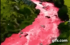 Có dòng sông đỏ ngầu như máu cuồn cuộn chảy len lỏi qua cánh đồng cỏ xanh, mang tên gọi như một địa danh của Việt Nam-1