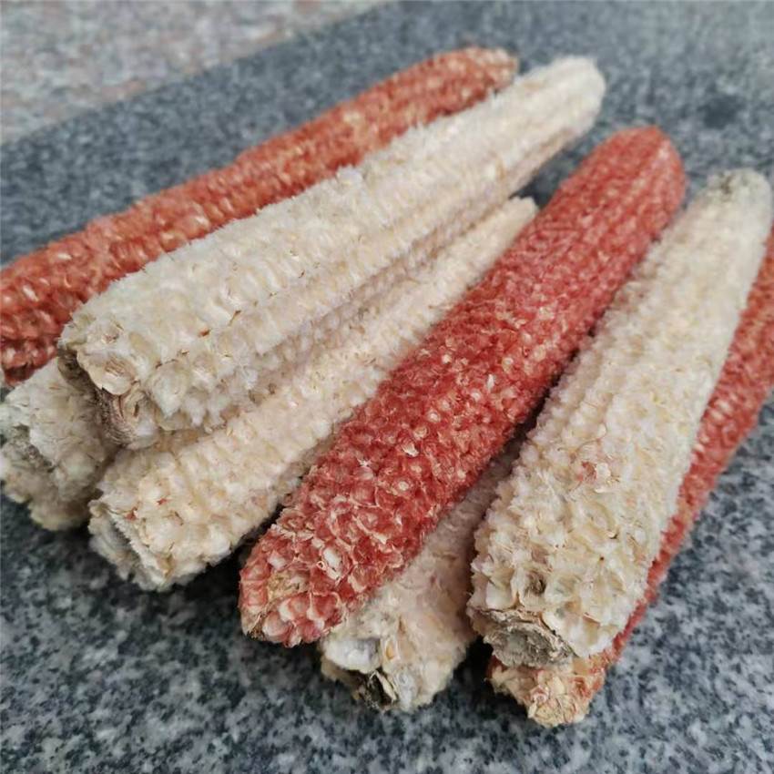 Làm khô lõi ngô và đặt nó trong nhà bếp có công dụng rất mạnh mẽ, giúp giải quyết được vấn đề lớn của hàng nghìn hộ gia đình-1