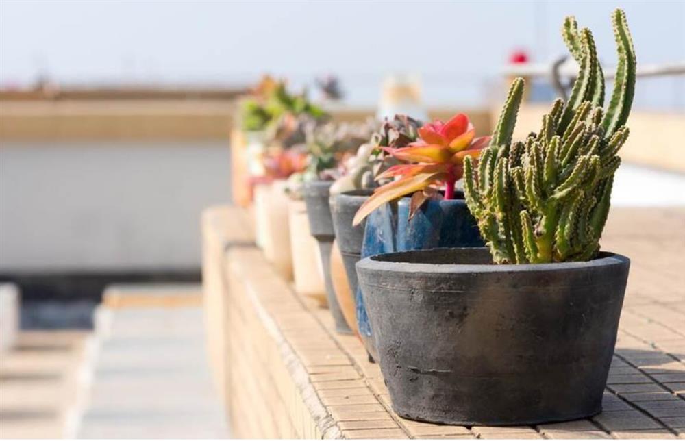 Nhét miếng rửa bát bằng thép vào trong chiếc tất có công dụng tuyệt vời, ai cũng muốn học theo-5