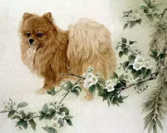 4 con giáp nữ có cái ngàn vàng trong đời” tuy tính tình xấu nhưng kiếm tiền thì thực sự kếch xù-1