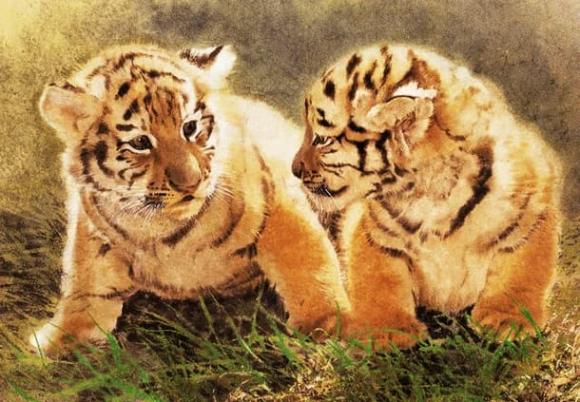 4 con giáp nữ có cái ngàn vàng trong đời” tuy tính tình xấu nhưng kiếm tiền thì thực sự kếch xù-3