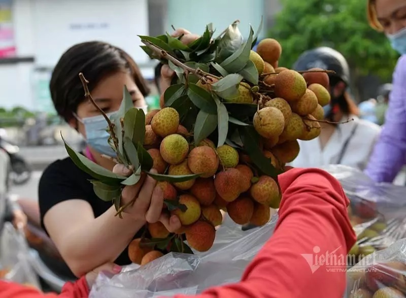 Đắt nhất chợ Hà Nội: Vải thiều u trứng 160.000 đồng/kg vẫn ‘cháy hàng’-2