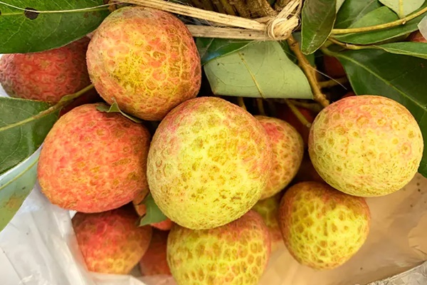 Chung cư hết thời hạn 50 năm, đang ở nhà mình bỗng ra đứng đường?-3