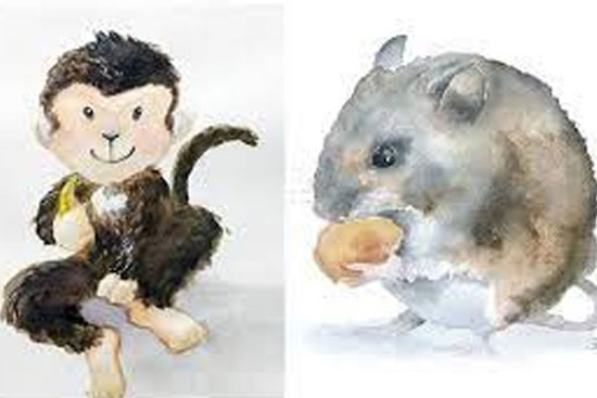 Tử vi tuần mới từ ngày 16/5- 22/5/2022 của 12 con giáp: Tý cẩn trọng hung tinh, Thân cát tinh che chở