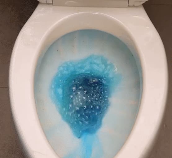 Nắp bồn cầu có bị mở hay đóng sau khi đi vệ sinh không? Rất nhiều người làm sai, không có gì lạ khi nhà vệ sinh bị bẩn-7