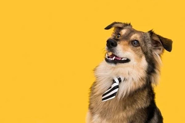 Nốt ruồi ở vị trí này, trẻ sớm mang mệnh quý nhân, mang lại tài lộc và giàu sang-4