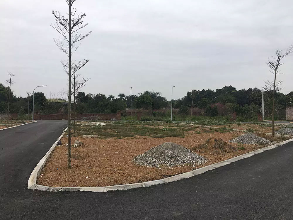 Ôm mảnh ruộng ngàn m2 rồi bỏ hoang: Giấc mộng 10 năm ăn cú đậm-1