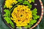 Việt Nam sở hữu loài hoa bá vương: Khách Trung Quốc, Nhật Bản đua nhau tiêu thụ-2