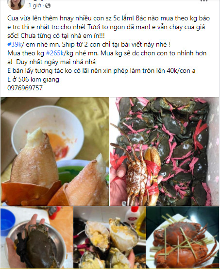 Thực hư cua biển có giá bán rẻ như cho, chỉ 39.000 đồng/con-3