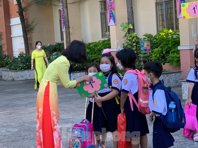 Học phí TPHCM có thể tăng gấp 5 lần năm học tới-1