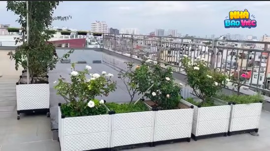 Tò mò nhà đẹp của Phan Hiển sau khi dành 3 HCV khiến Khánh Thi rơi nước mắt vì xúc động-4