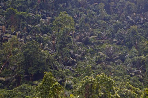 Cuộc sống săn bắt, hái lượm như người nguyên thủy ở bộ tộc kỳ lạ nhất Việt Nam-4
