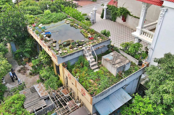 Cụ ông 87 tuổi chịu chơi mang cả cái ao đặt trên mái nhà rồi trồng rau nuôi cá: Nhiều người nói tôi liều lĩnh-1