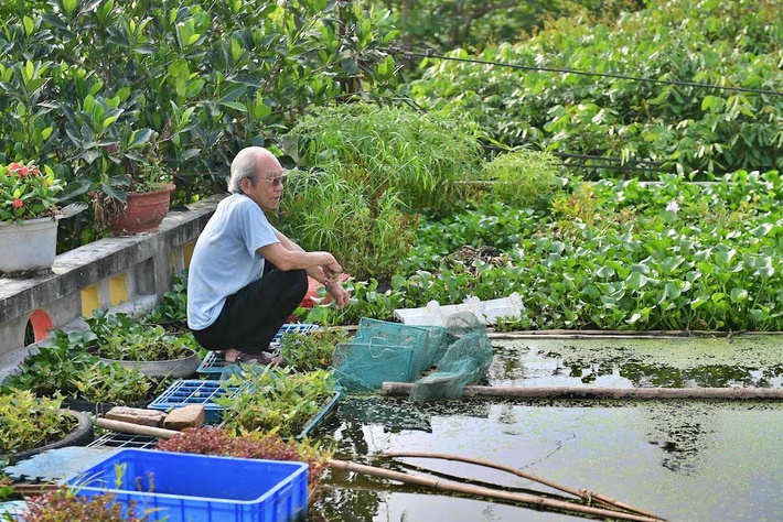 Cụ ông 87 tuổi chịu chơi mang cả cái ao đặt trên mái nhà rồi trồng rau nuôi cá: Nhiều người nói tôi liều lĩnh-2