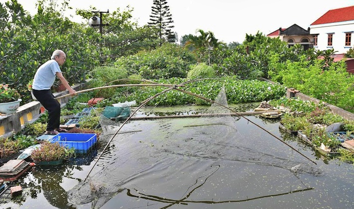 Cụ ông 87 tuổi chịu chơi mang cả cái ao đặt trên mái nhà rồi trồng rau nuôi cá: Nhiều người nói tôi liều lĩnh-3