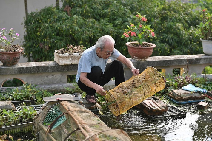 Cụ ông 87 tuổi chịu chơi mang cả cái ao đặt trên mái nhà rồi trồng rau nuôi cá: Nhiều người nói tôi liều lĩnh-4