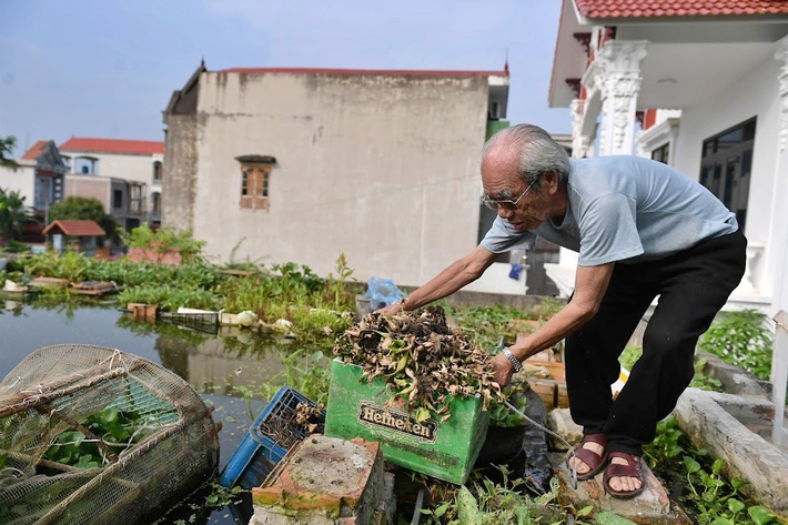 Cụ ông 87 tuổi chịu chơi mang cả cái ao đặt trên mái nhà rồi trồng rau nuôi cá: Nhiều người nói tôi liều lĩnh-6