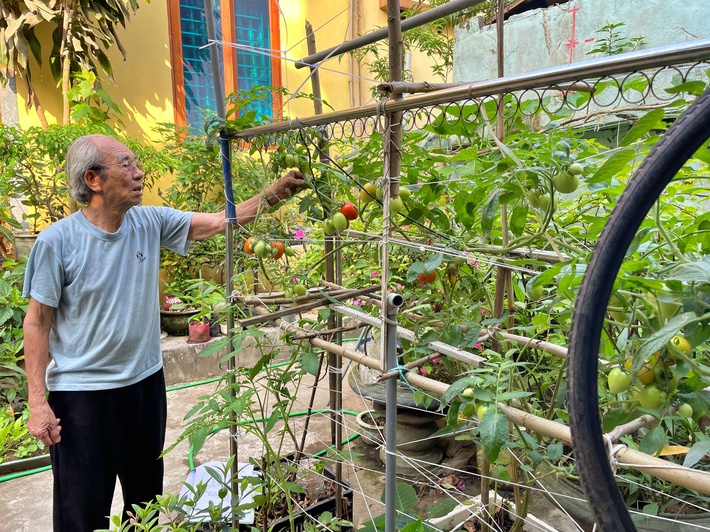 Cụ ông 87 tuổi chịu chơi mang cả cái ao đặt trên mái nhà rồi trồng rau nuôi cá: Nhiều người nói tôi liều lĩnh-8