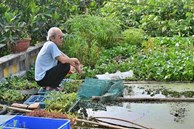 Cụ ông 87 tuổi 'chịu chơi' mang cả cái ao đặt trên mái nhà rồi trồng rau nuôi cá: 'Nhiều người nói tôi liều lĩnh'