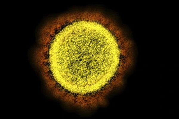 Singapore phát hiện các ca mắc biến thể BA.4 và BA.5-1