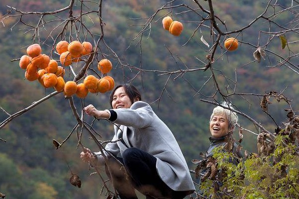 Loại quả tốt ngang 10 thang thuốc: Giúp sạch ruột, xóa nếp nhăn nhưng có 4 nhóm người không nên ăn-4