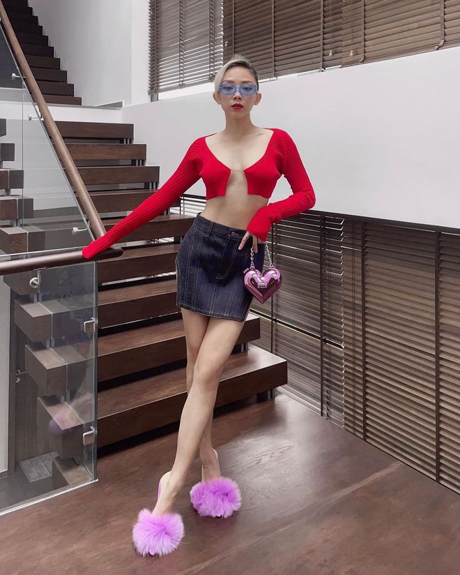 Ngắm loạt biệt thự ở Quận 2 của các ca sĩ nổi tiếng-7