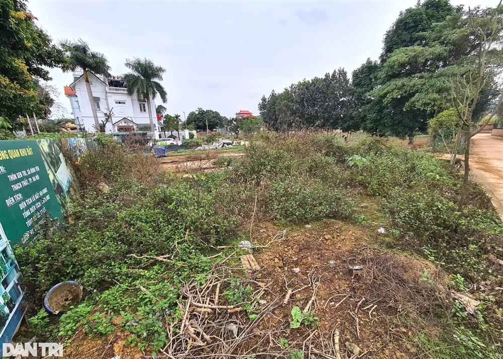 Qua sốt nóng, chủ nhà đất tự giảm giá rao bán xuống cả tỷ đồng-2